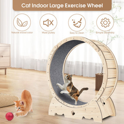 Cat Exercise Wheel For Indoor Cats, Running Wheel With Carpeted Runway
