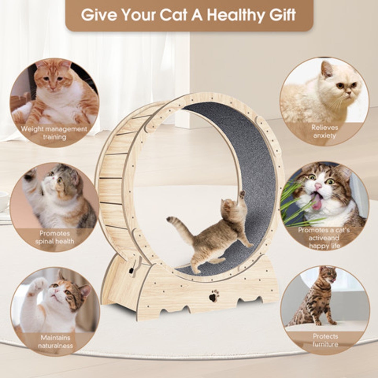 Cat Exercise Wheel For Indoor Cats, Running Wheel With Carpeted Runway